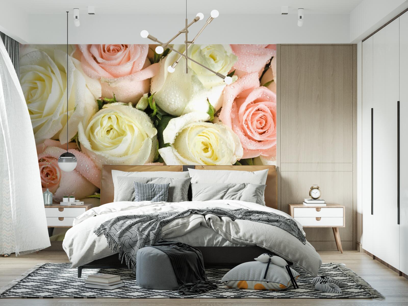 Fototapeten Die Größe von weißen und rosa Rosenblumen