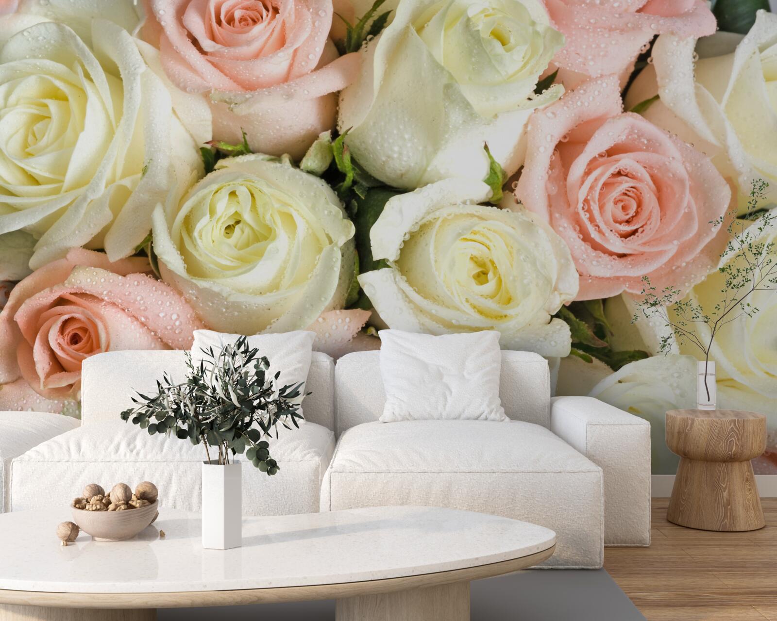 Fototapeten Die Größe von weißen und rosa Rosenblumen