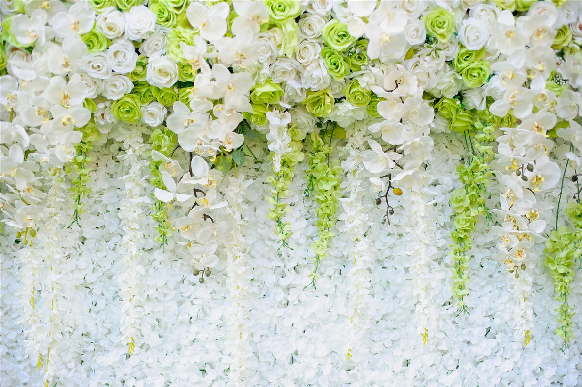 Fototapeten Weiße Orchideen bedeckten die Wand mit einem Blumenteppich
