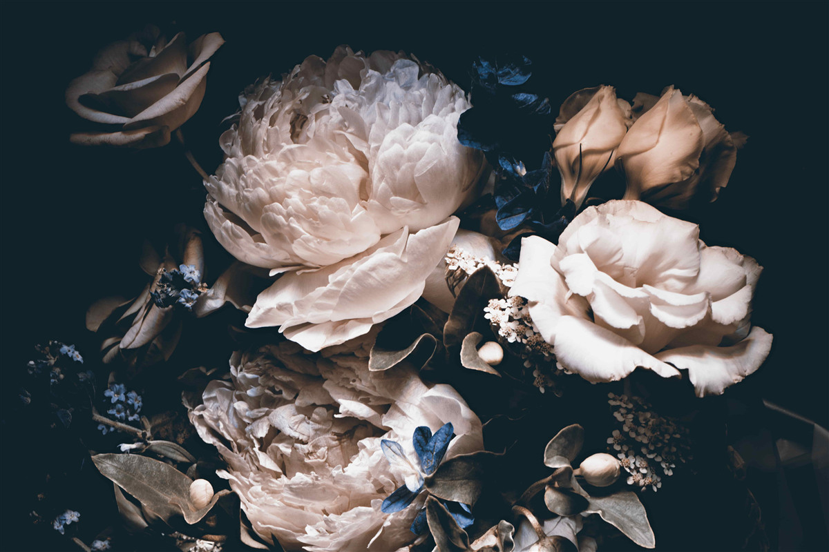 Fototapeten Dunkle Romanze von Blumen