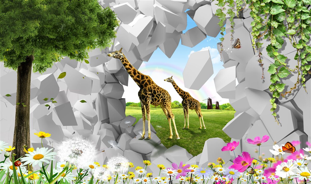 Fototapeten In der Natur versuchen Giraffen, Bäume zu erreichen