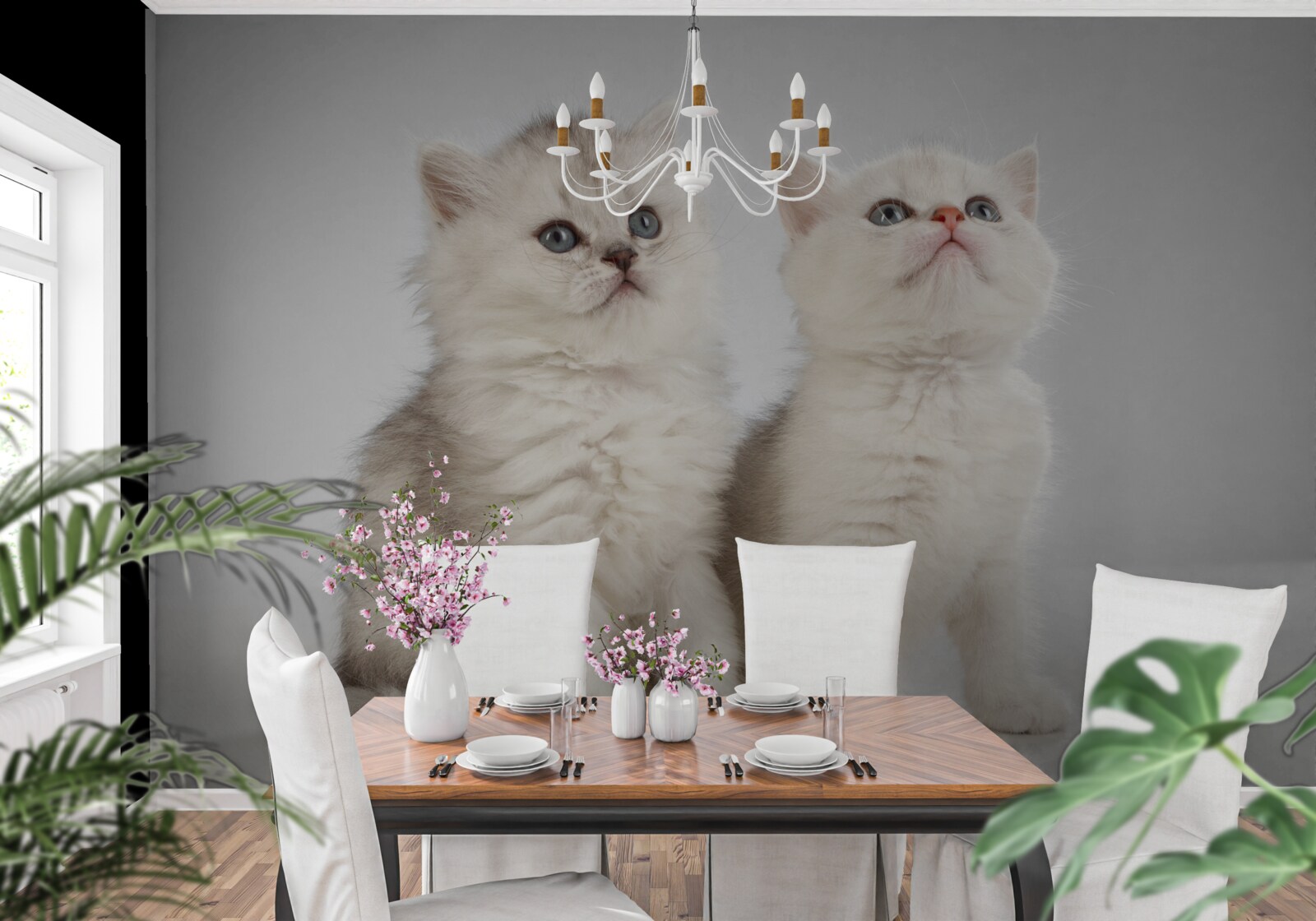 Fototapeten Sie beobachten zwei kleine Katzen