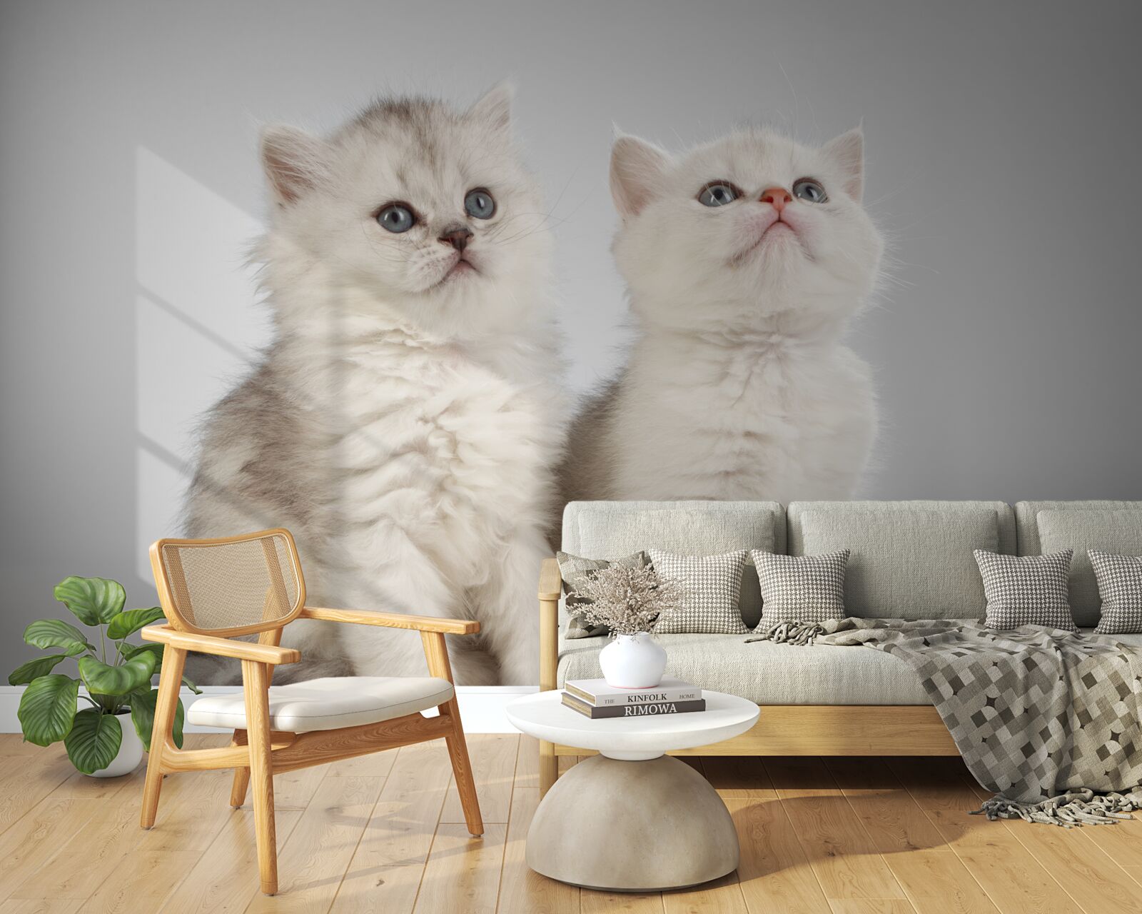 Fototapeten Sie beobachten zwei kleine Katzen