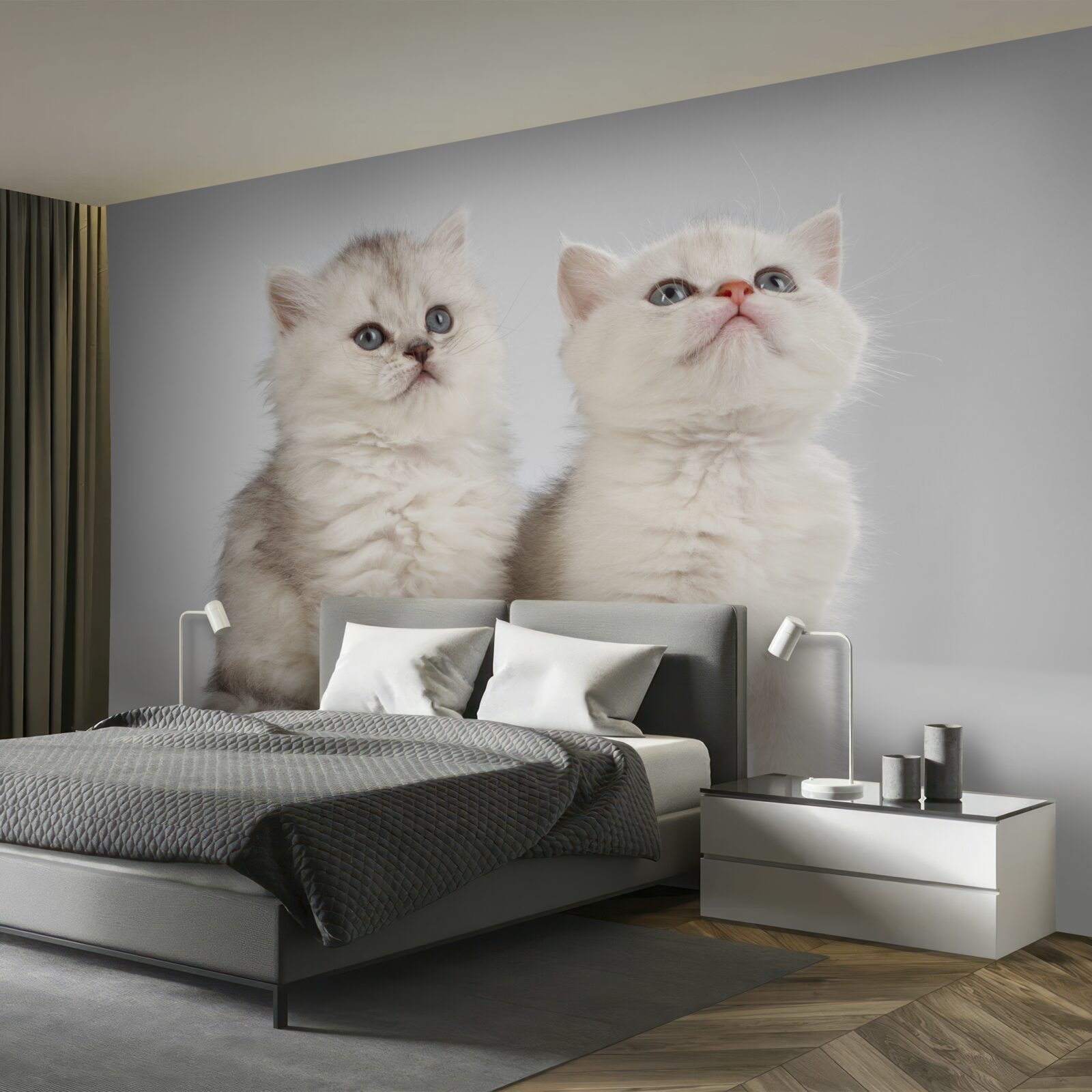 Fototapeten Sie beobachten zwei kleine Katzen