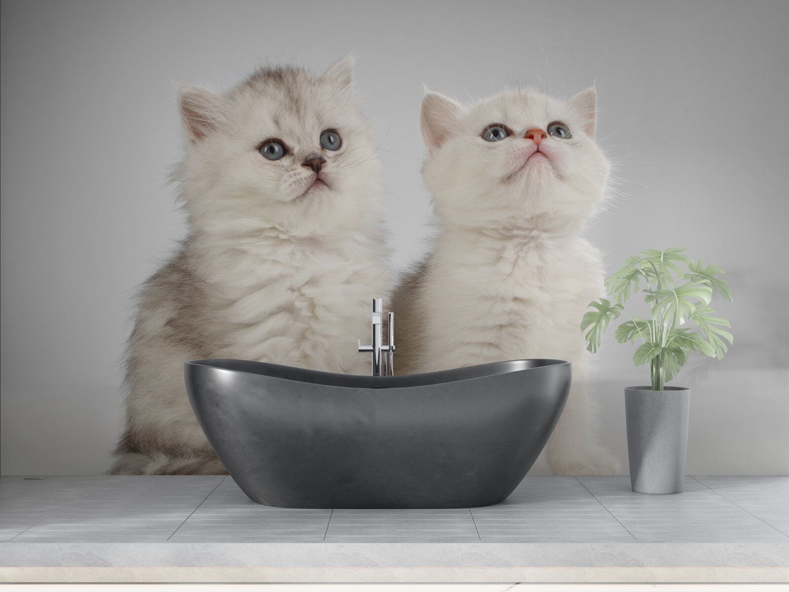 Fototapeten Sie beobachten zwei kleine Katzen
