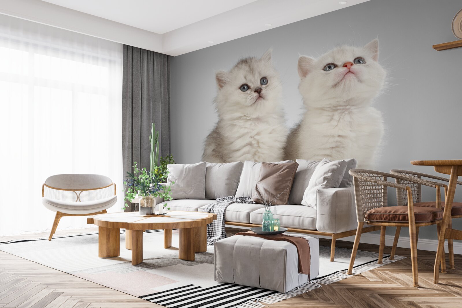 Fototapeten Sie beobachten zwei kleine Katzen