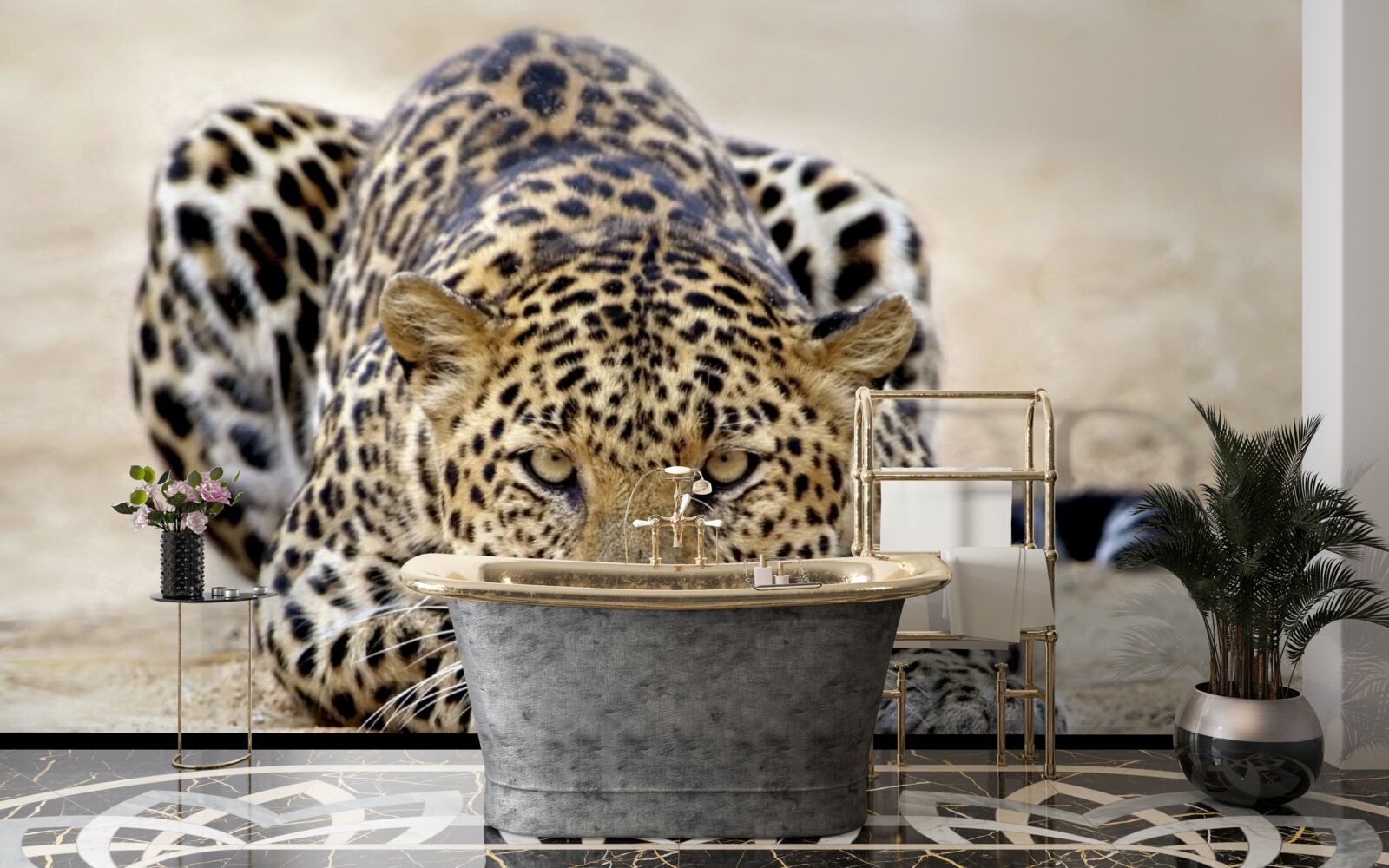 Fototapeten Ein wartender Leopard mit fleckter Haut
