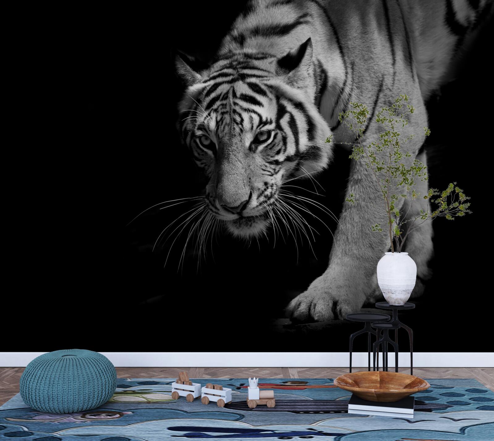 Fototapeten Tiger kriecht vor dem Hintergrund der Dunkelheit
