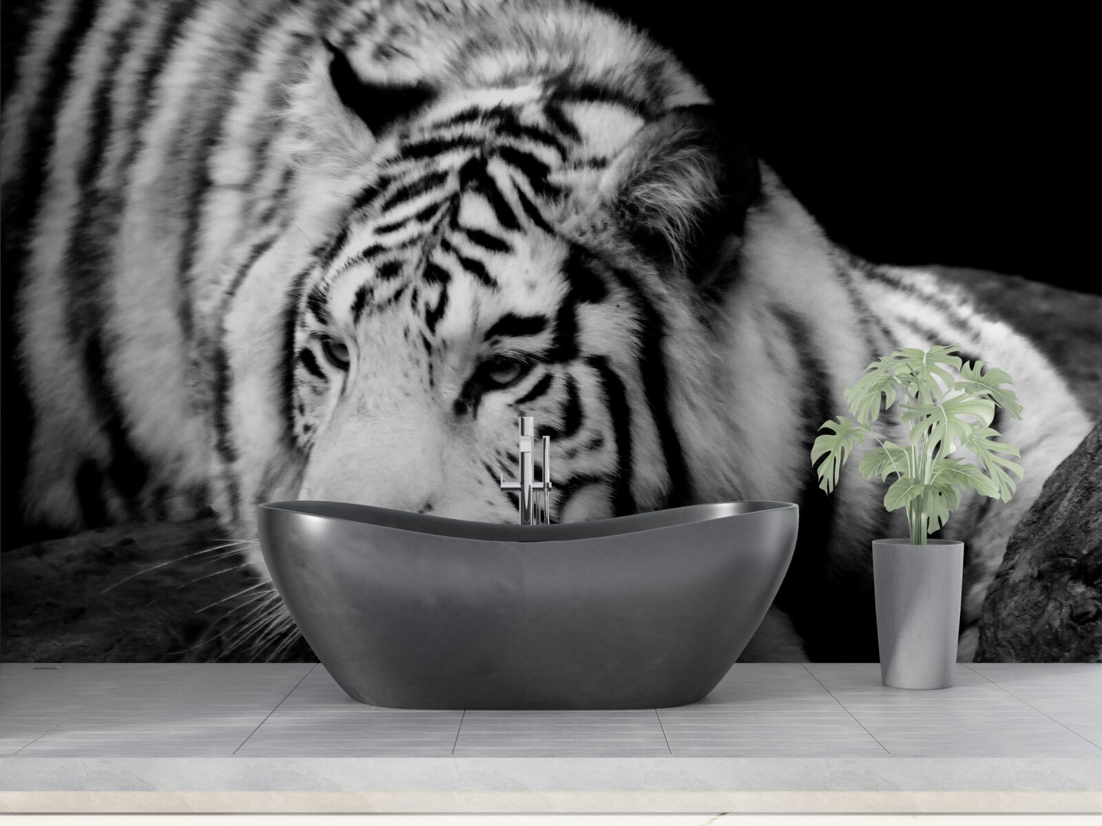 Fototapeten charmanter Schwarz -Weiß -Tiger