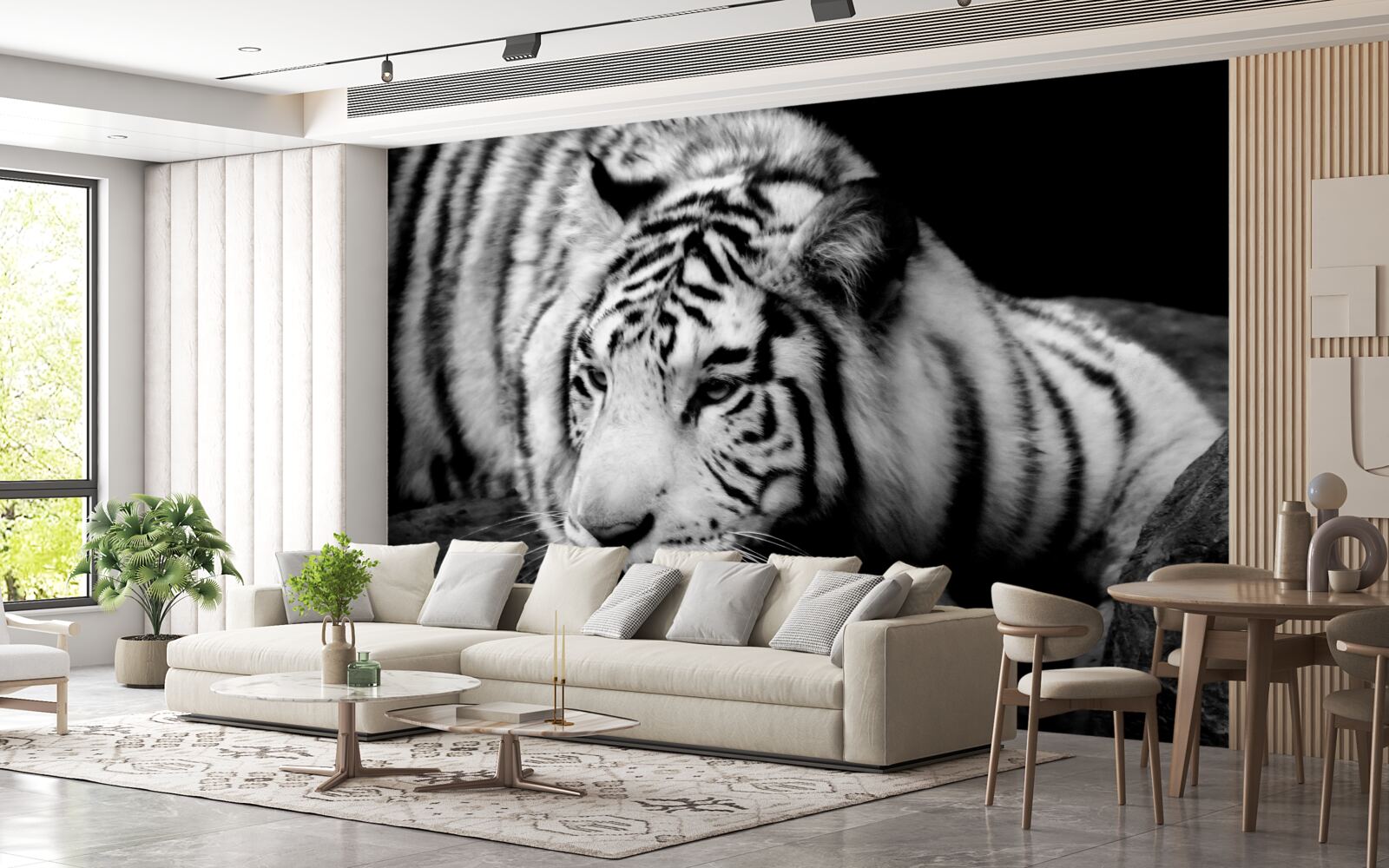 Fototapeten charmanter Schwarz -Weiß -Tiger