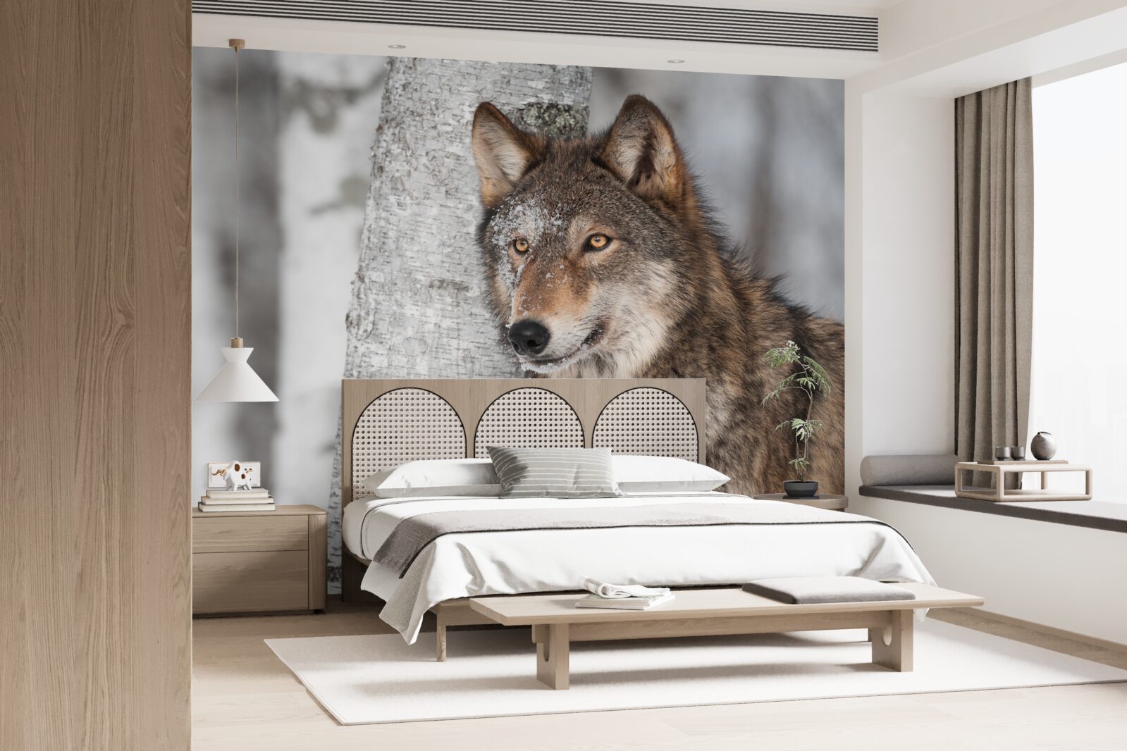 Fototapeten Der Zimtwolf wurde von der Birke überfallen