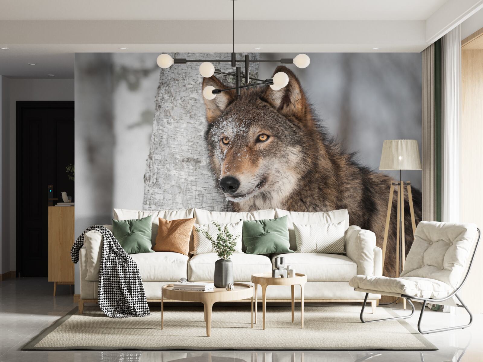 Fototapeten Der Zimtwolf wurde von der Birke überfallen