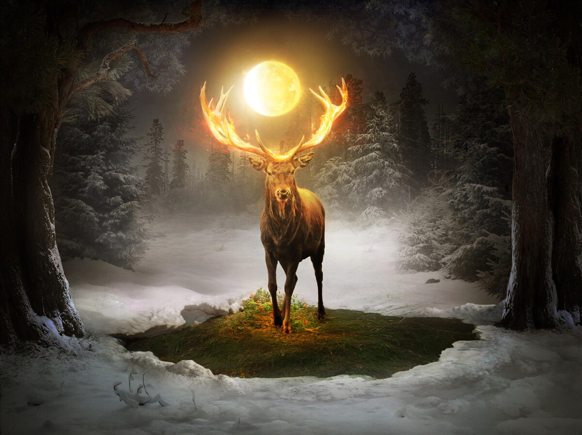 Fototapeten Energiebereich und ein goldener Begleiter des Waldes
