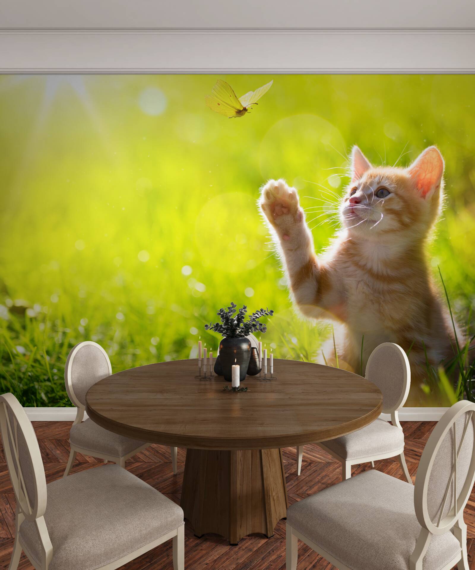 Fototapeten Eine kleine Katze spielt mit einem Schmetterling in einem grünen Feld