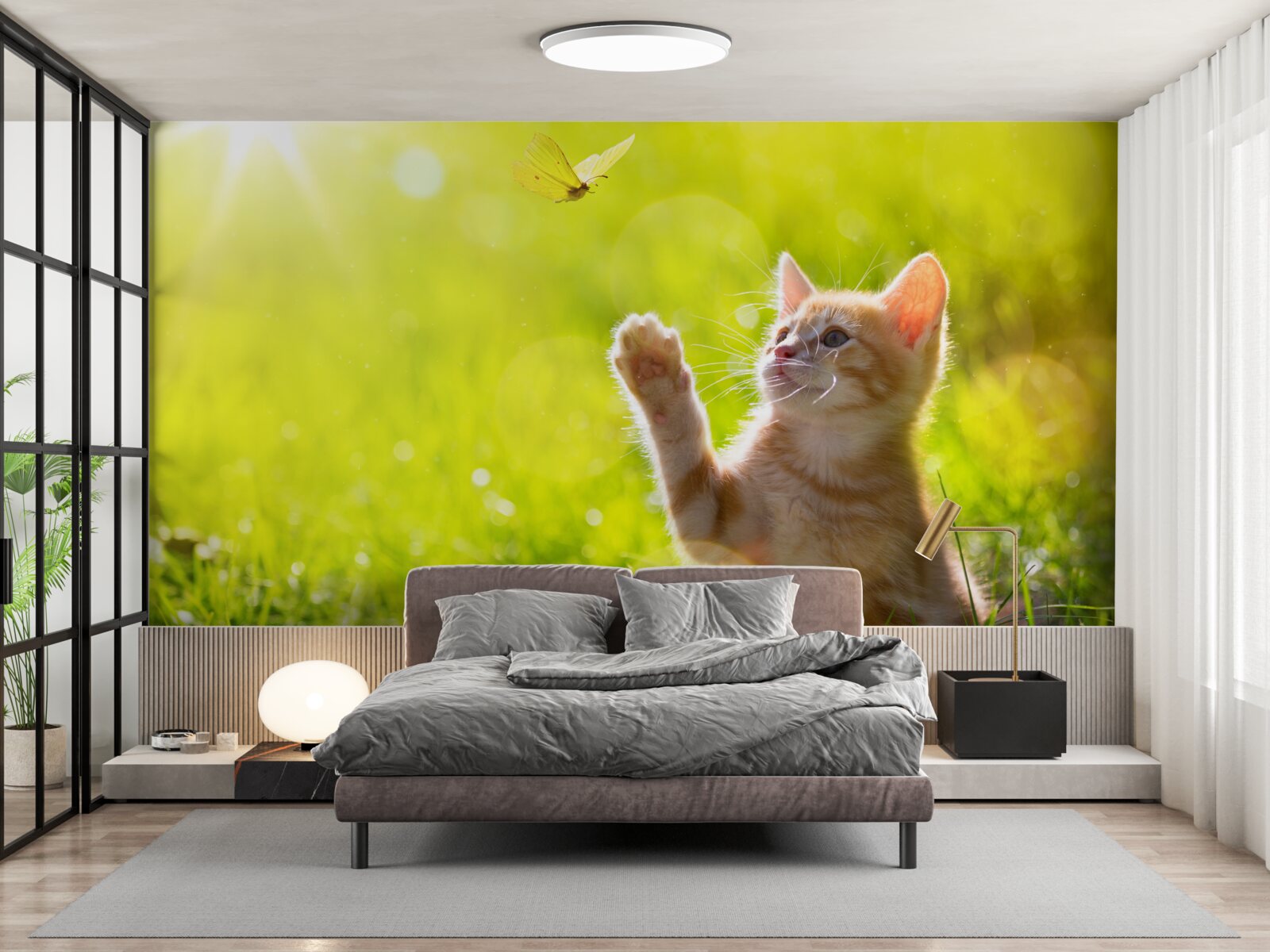 Fototapeten Eine kleine Katze spielt mit einem Schmetterling in einem grünen Feld