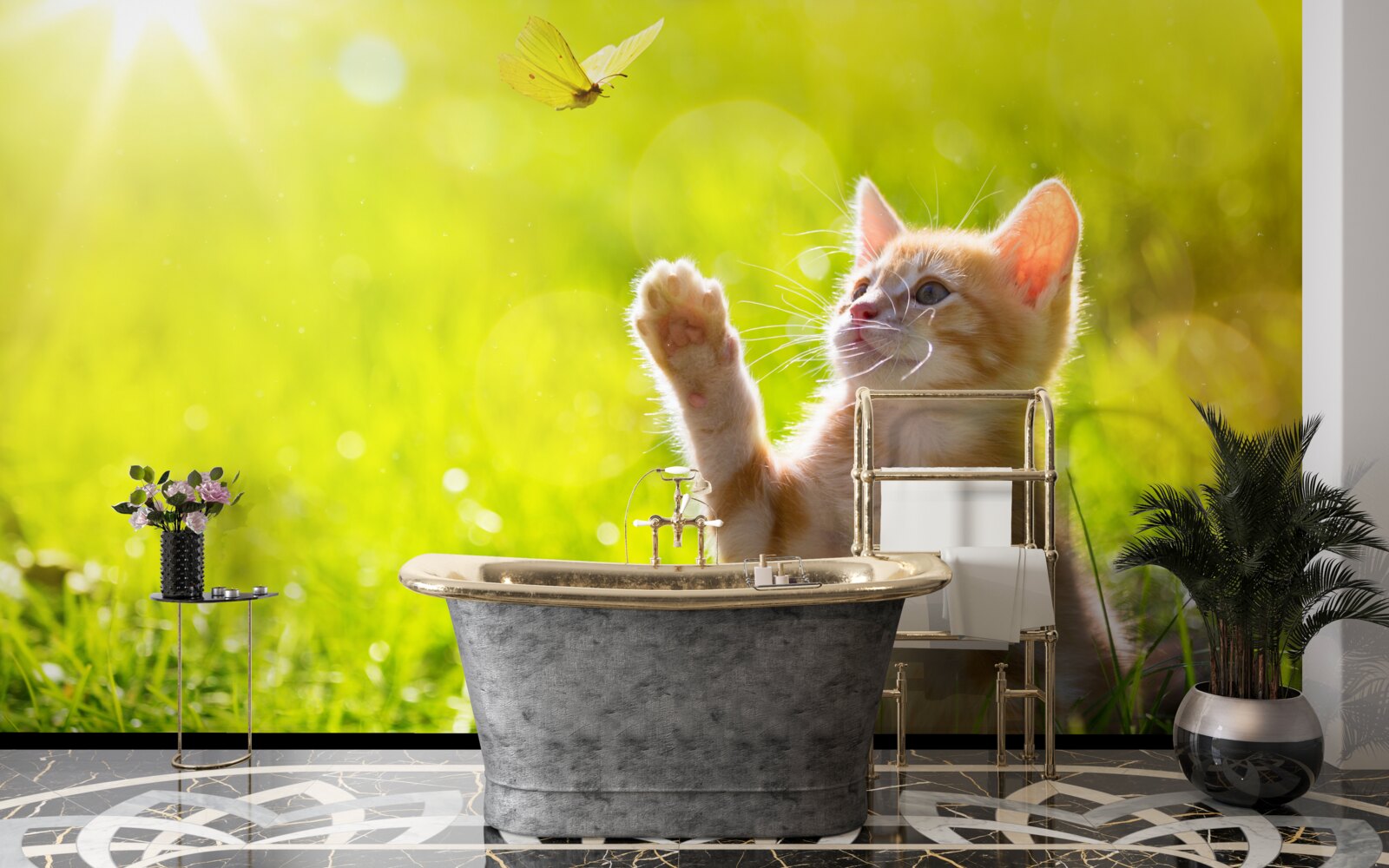 Fototapeten Eine kleine Katze spielt mit einem Schmetterling in einem grünen Feld