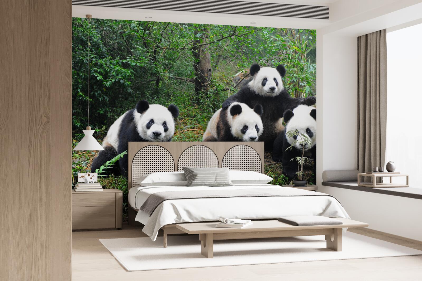 Fototapeten Eine ruhende Familie süßer Panda
