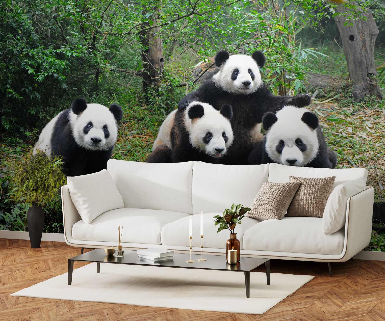 Fototapeten Eine ruhende Familie süßer Panda