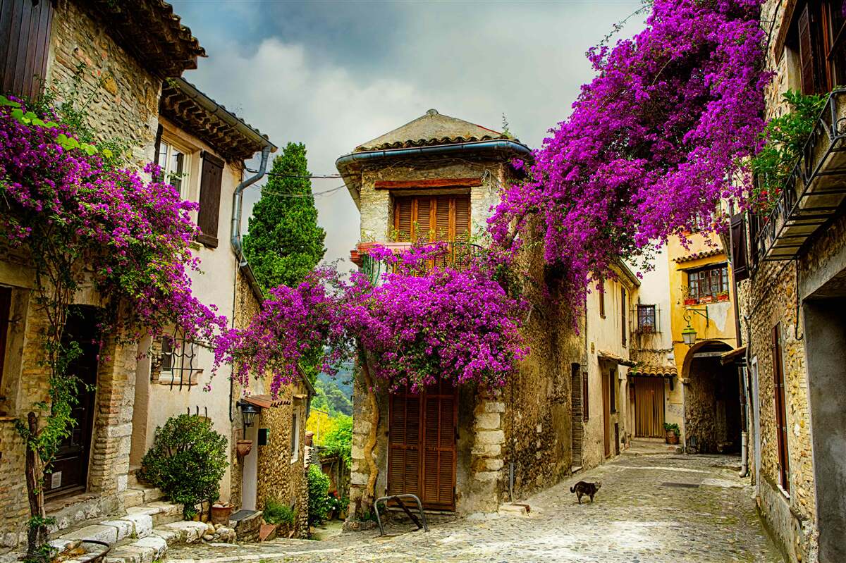 Fototapeten Straße in Provence, die Komfort und Wärme ausstrahlt