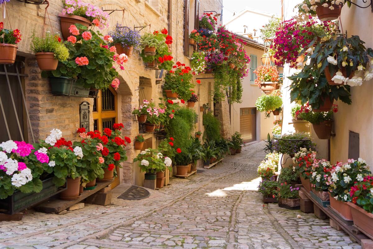Fototapeten Duftende Gasse im historischen Bezirk