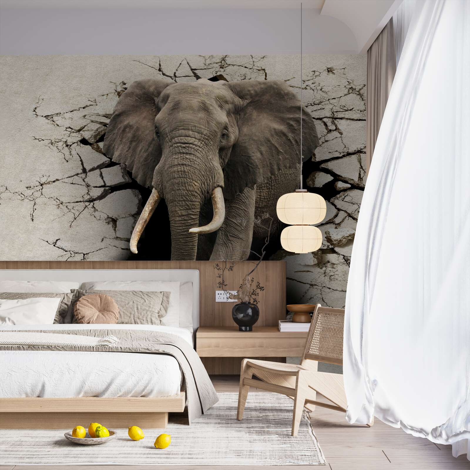 Fototapeten Der Elefant durchläuft ein Hindernis