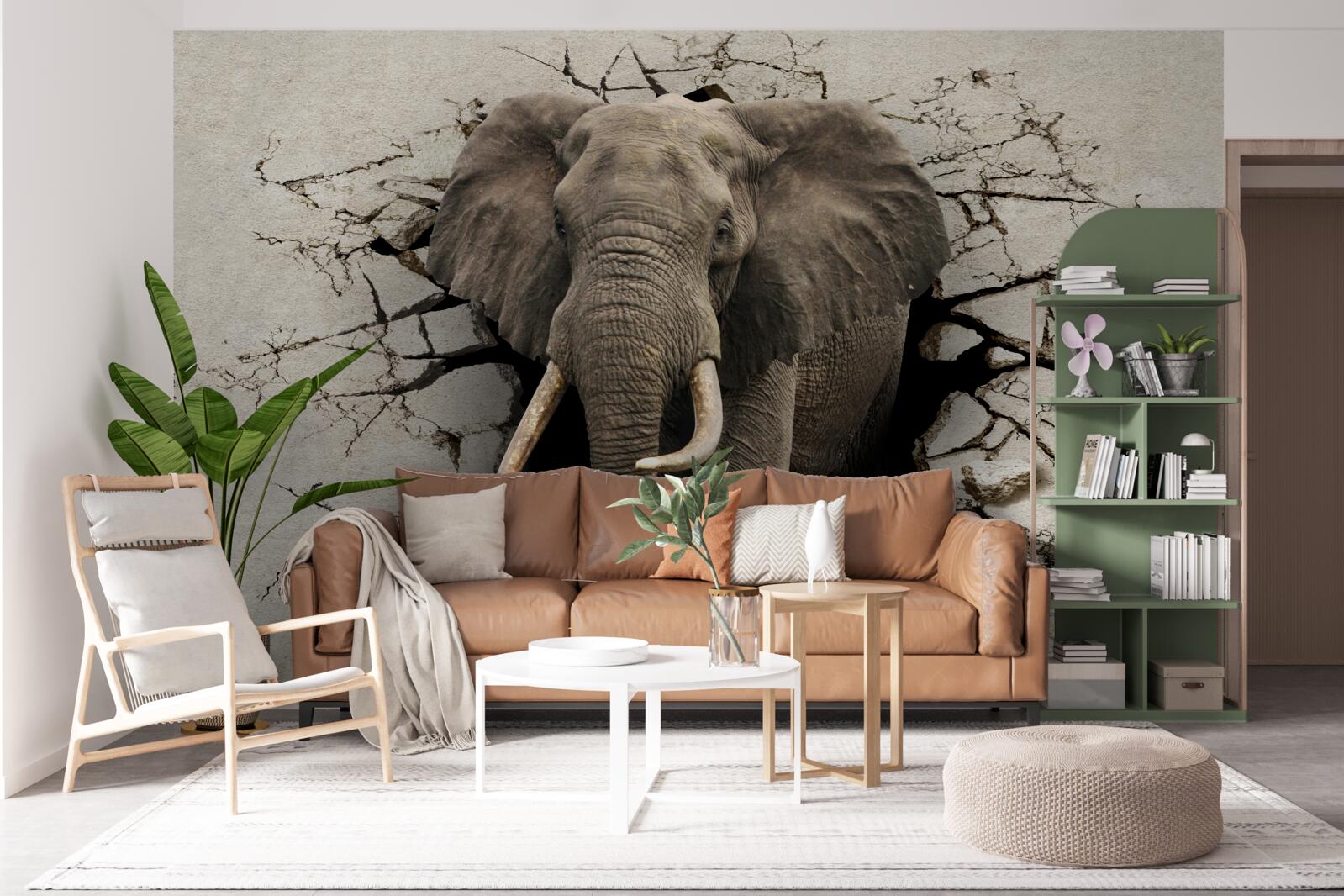 Fototapeten Der Elefant durchläuft ein Hindernis