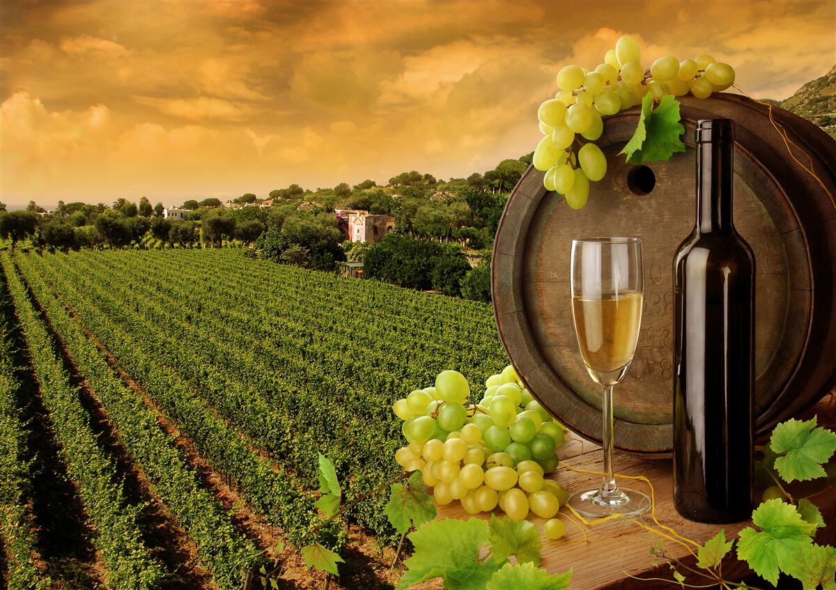 Fototapeten Sonnenuntergang über den Weinbergen