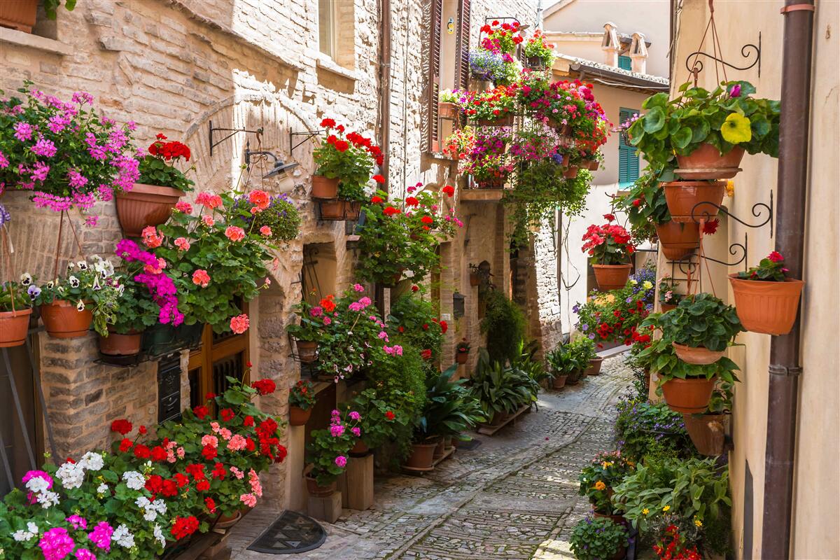Fototapeten Street tauchte in dichtes Grün ein und umhüllt ihre Antike