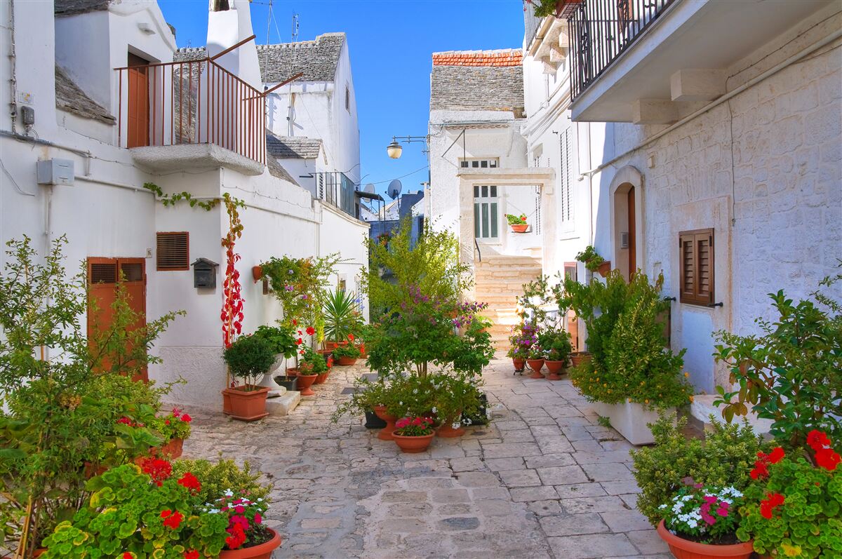 Fototapeten Santorini Street, in Grün getaucht