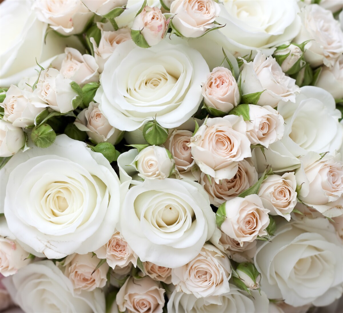 Fototapeten Der Bouquet enthält beige und weiße Sprührosen