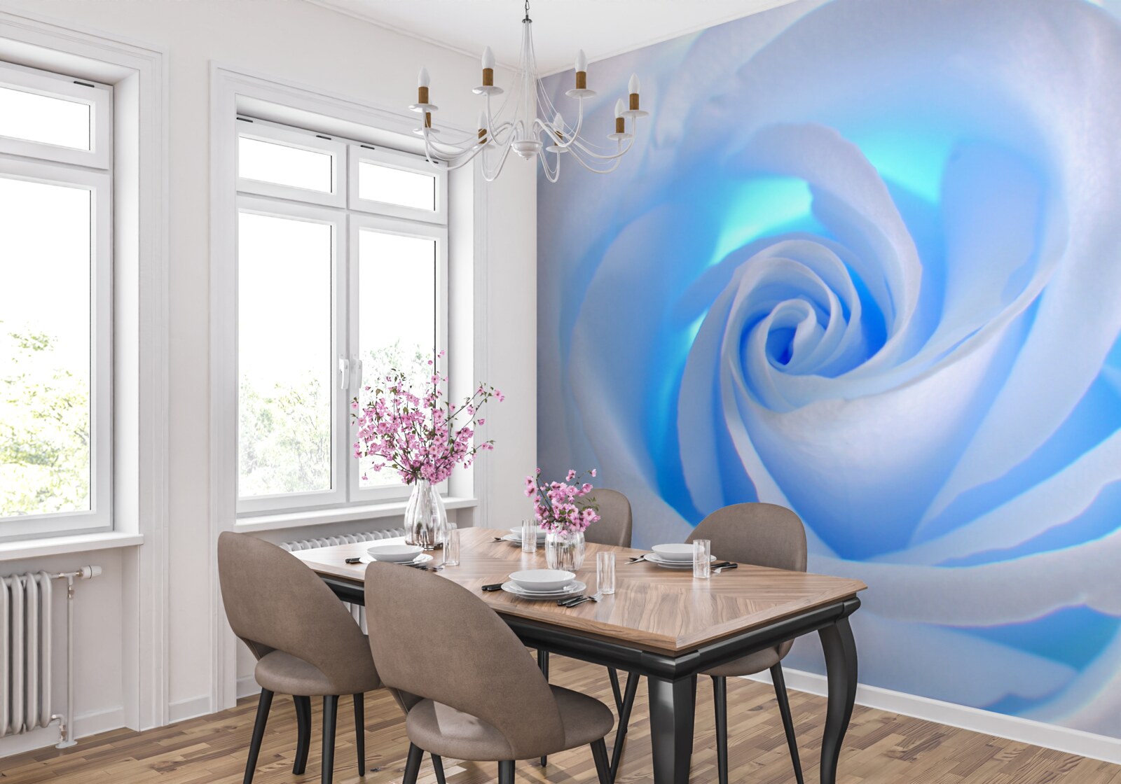 Fototapeten Blaues Licht durchdringt eine zarte weiße Rose