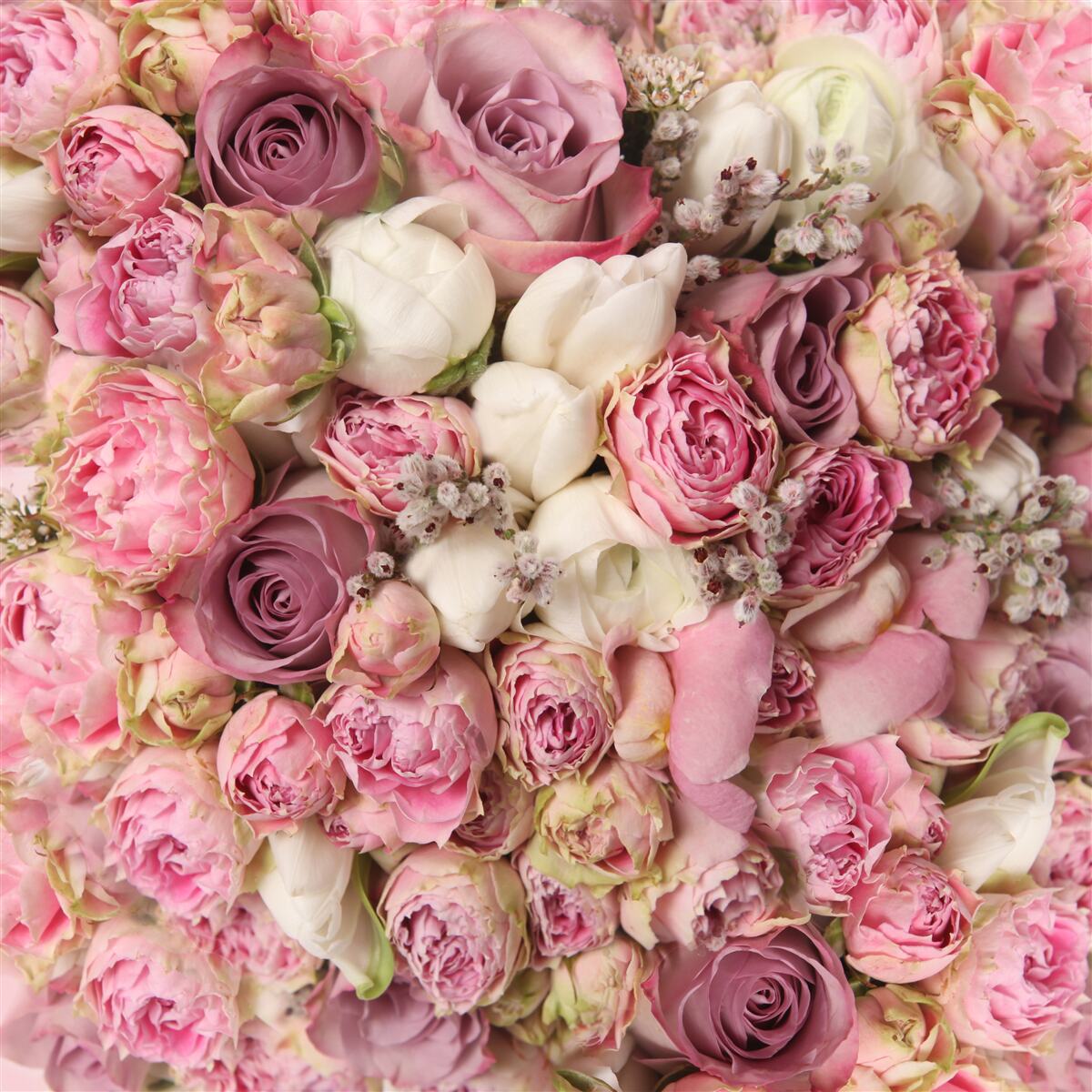 Fototapeten Eine Sammlung von Tulpen und Rosen