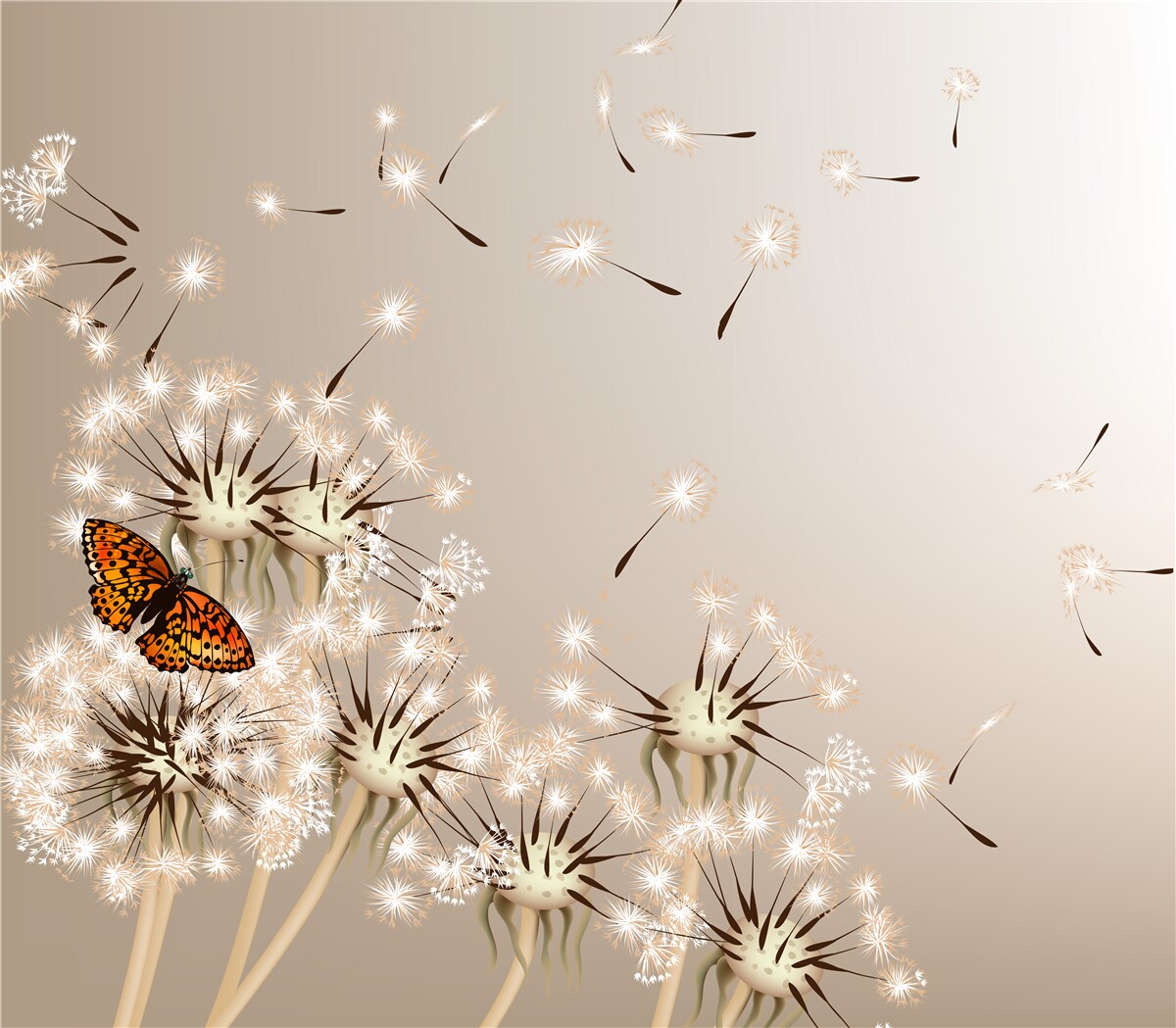 Fototapeten Schmetterling auf zarte Milch
