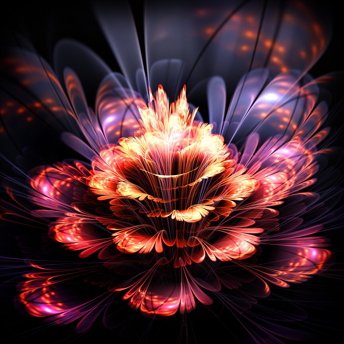 Fototapeten Eine schöne Blume, die wie eine Flamme scheint
