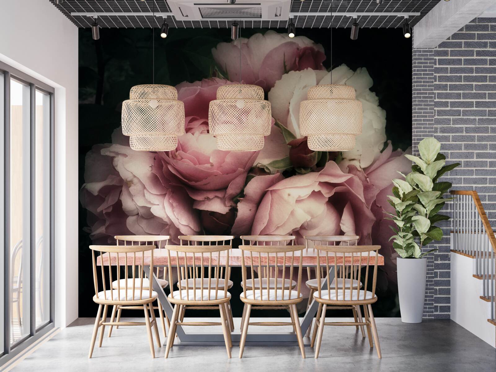 Fototapeten Große rosa Rosen