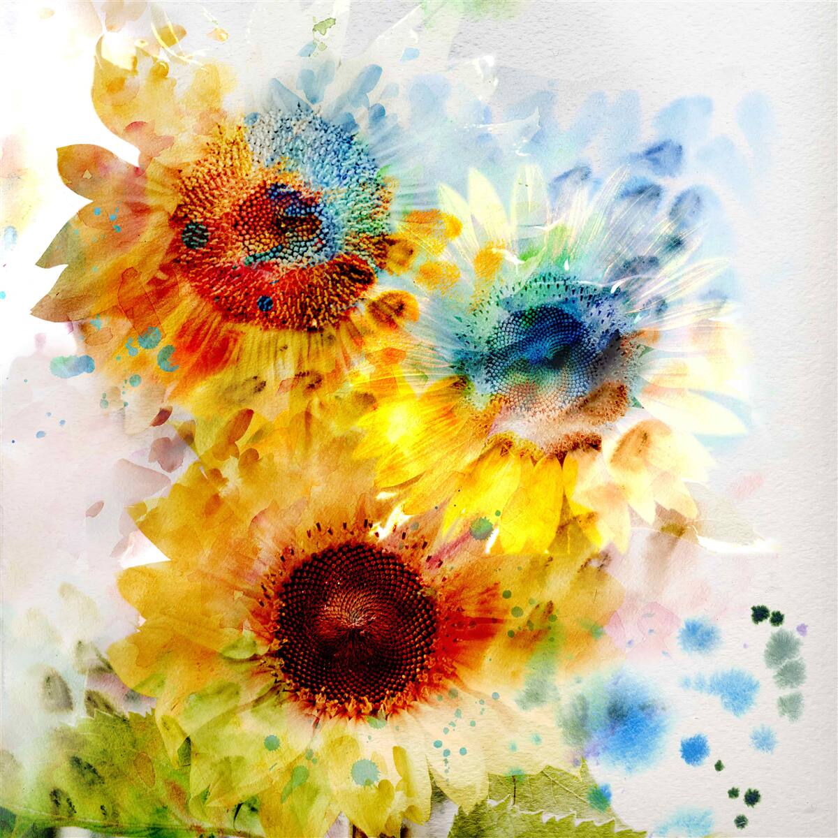 Fototapeten Strauß der Sommersonnenblumen