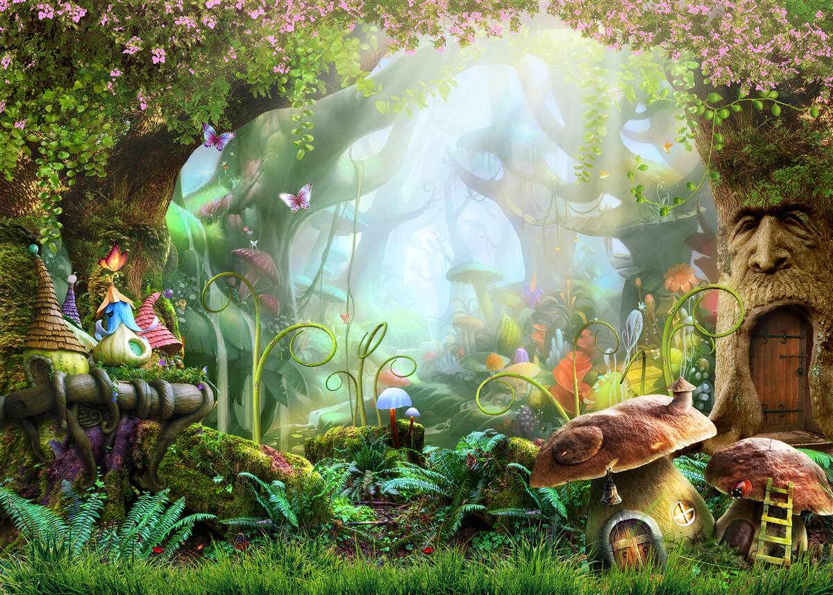 Fototapeten Faszinierender Wald aus einem Märchen