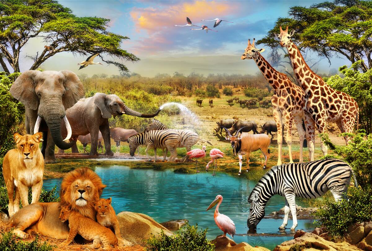 Fototapeten Wasserloch mit afrikanischen Tieren