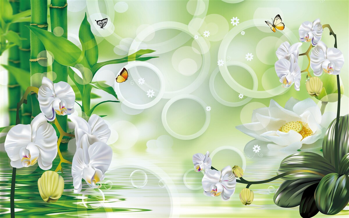 Fototapeten Wasser, das harmonisch mit weißen Orchideen und Bambus verbunden ist