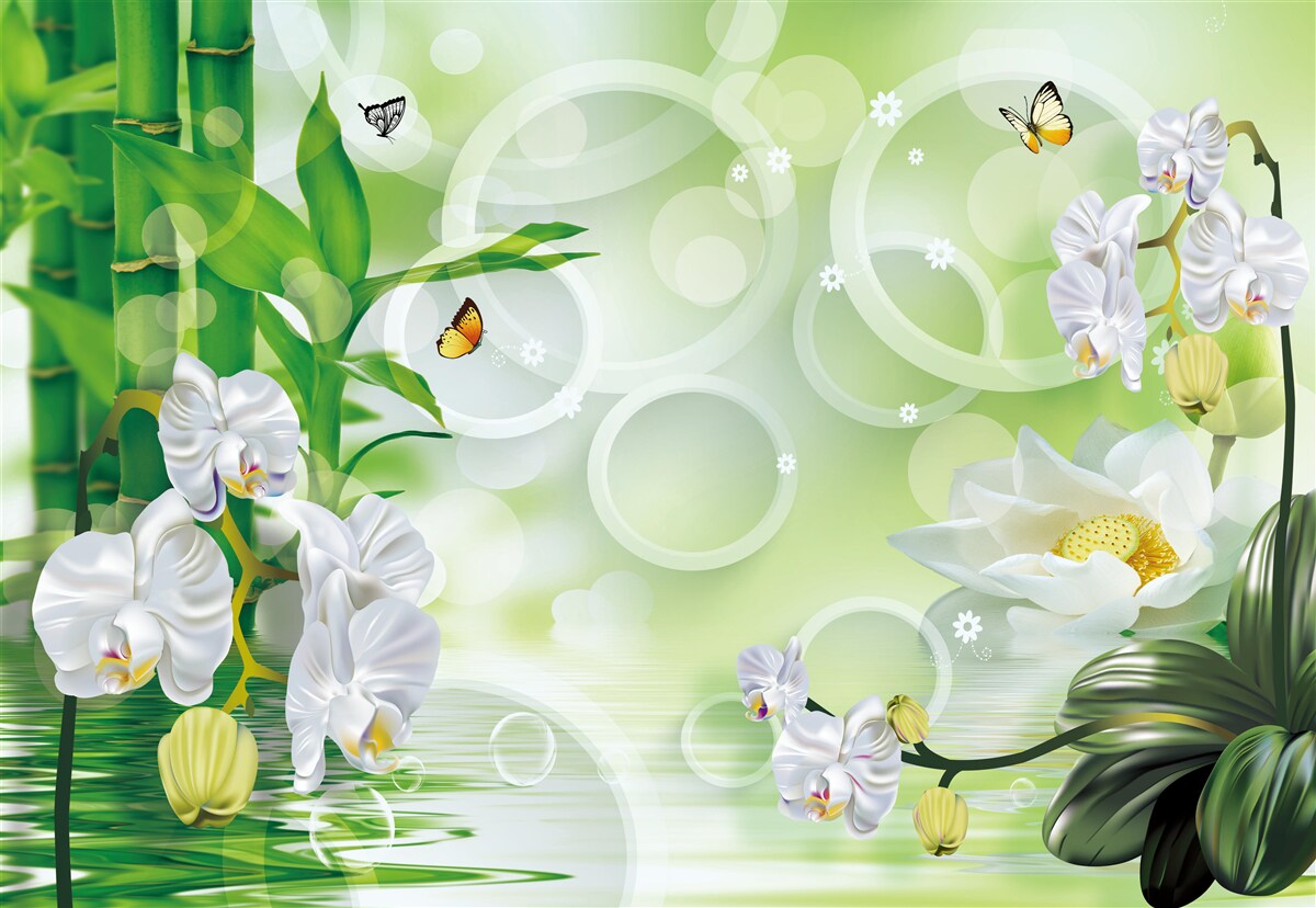 Fototapeten Grüner Bambus und Blumen werden im Wasser reflektiert, umgeben von weißen Rädern