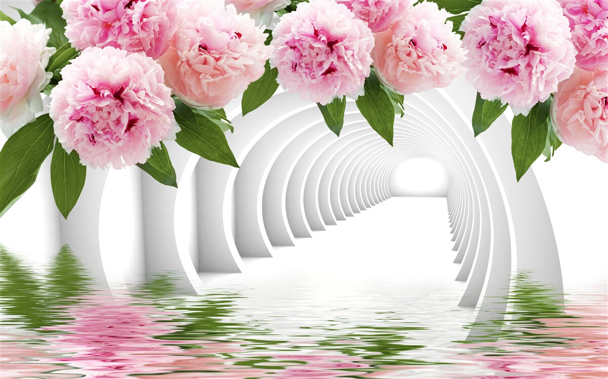 Fototapeten Pfingstrosen in rosa Farbe über der Wasseroberfläche