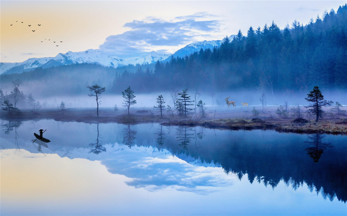 Fototapeten Bild des Fichtenwaldes im Wasserspiegel