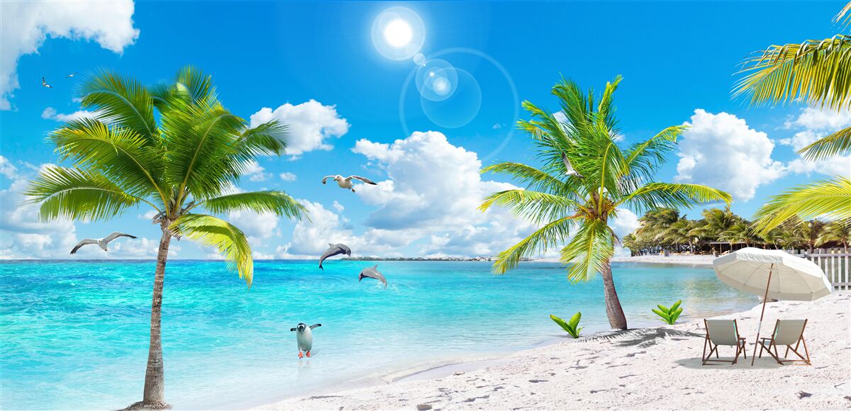 Fototapeten Strand mit Sand und Palmen
