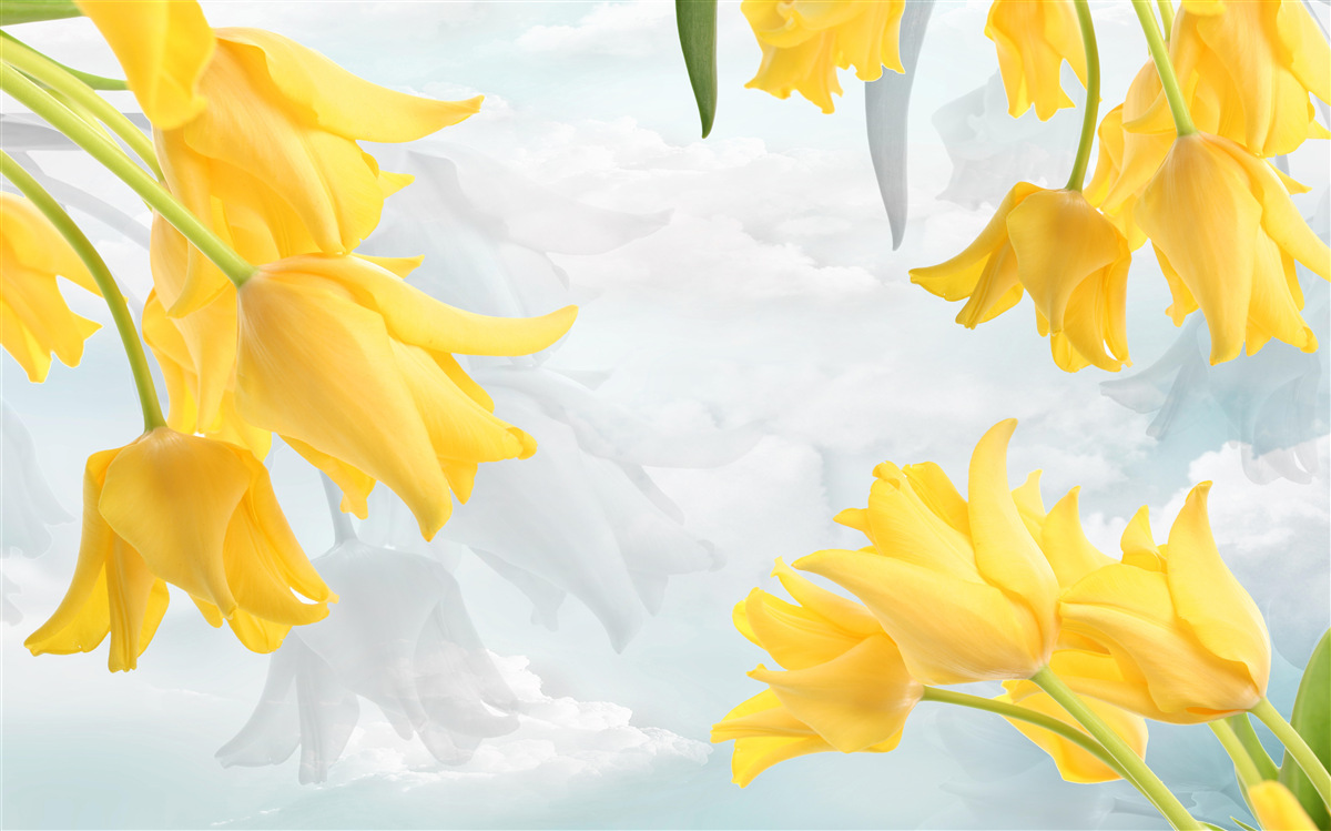 Fototapeten Gelbe Tulpen vor dem Hintergrund des blauen Himmels