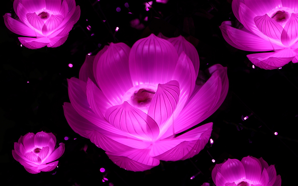 Fototapeten lila Blüten im Licht von Neon