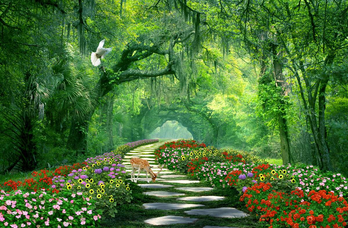Fototapeten Buntes tropischer Weg bedeckt mit Blumen, die durch den Wald führen