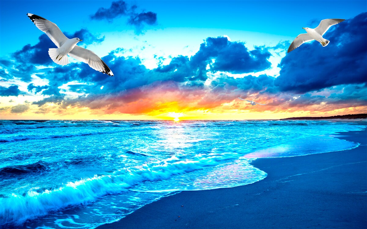 Fototapeten Sonnenuntergang am Meer und verträumte Meere