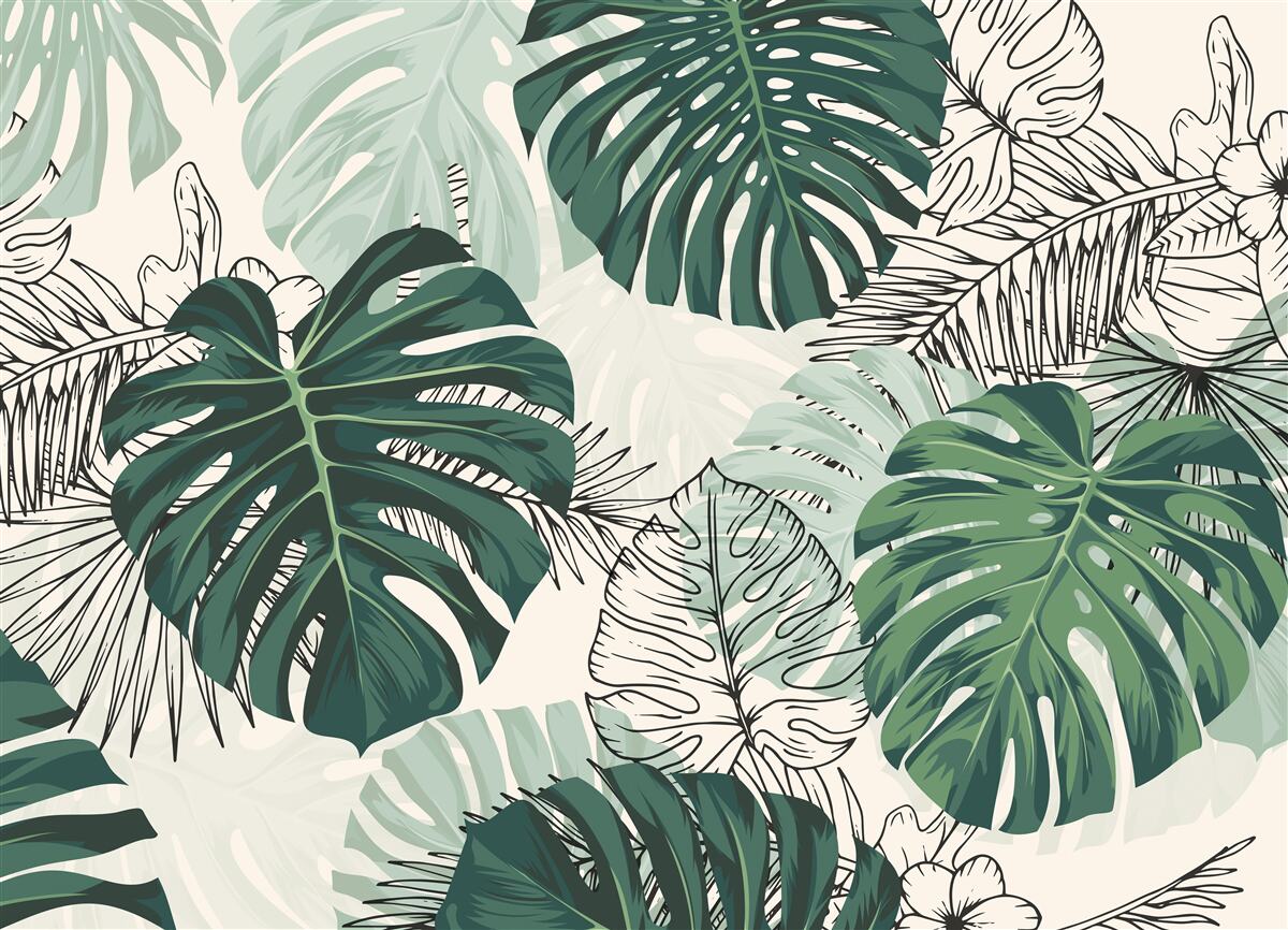 Fototapeten Strukturierte Monstera -Blätter sind majestätisch