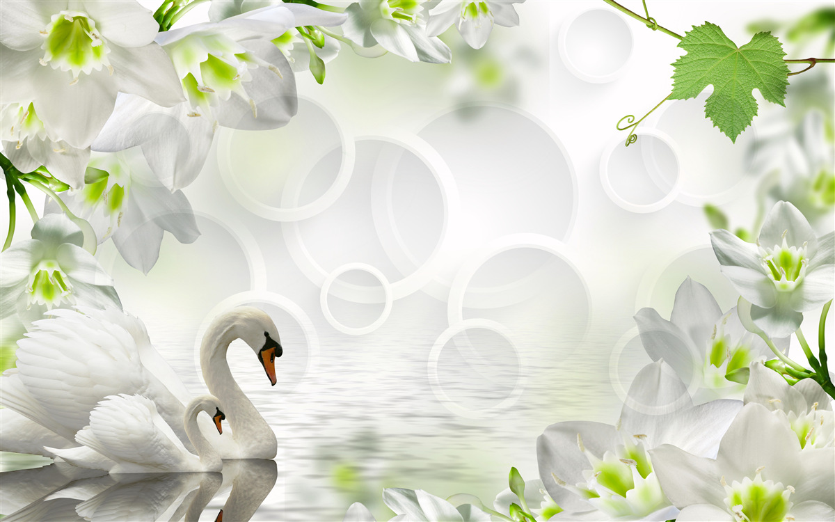 Fototapeten Weiße Blumen am See unter den Schwänen