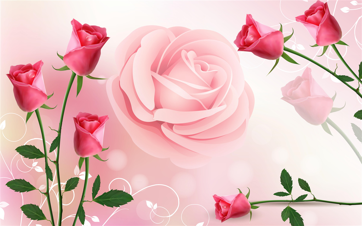 Fototapeten Ein Satz rosa Rosenknospen